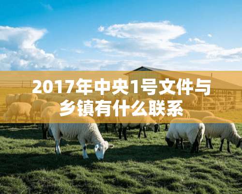 2017年中央1号文件与乡镇有什么联系