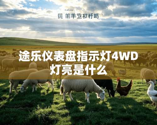 途乐仪表盘指示灯4WD灯亮是什么