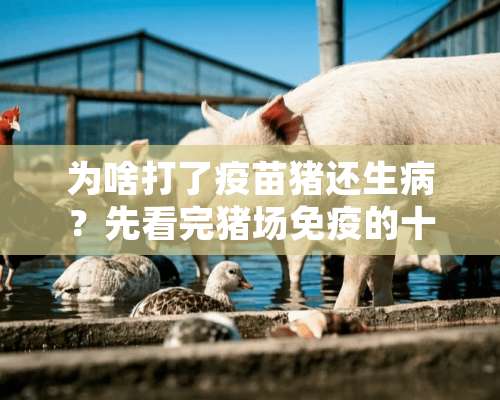 为啥打了疫苗猪还生病？先看完猪场免疫的十大原则