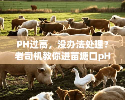 PH过高，没办法处理？老司机教你进苗塘口pH值过高如何调控！