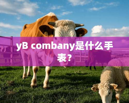 yB combany是什么手表？