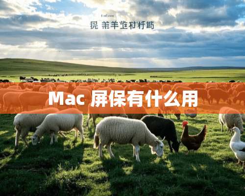 Mac 屏保有什么用