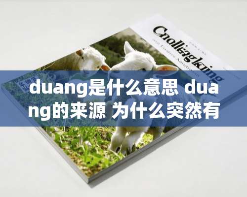 duang是什么意思 duang的来源 为什么突然有duang一说