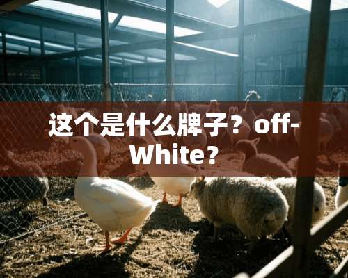 这个是什么牌子？off-White？