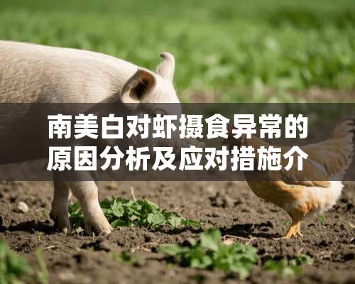 南美白对虾摄食异常的原因分析及应对措施介绍