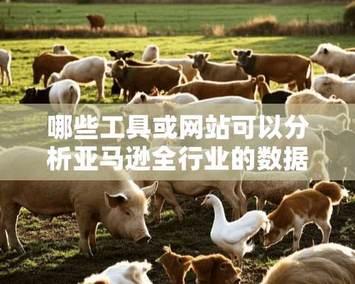 哪些工具或网站可以分析亚马逊全行业的数据