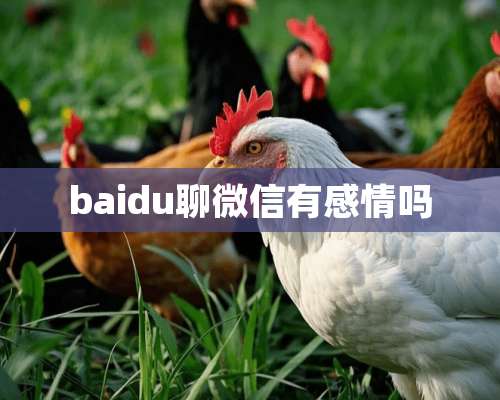 baidu聊微信有感情吗