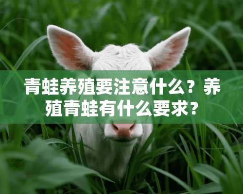 青蛙养殖要注意什么？养殖青蛙有什么要求？