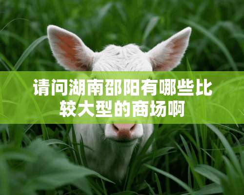 请问湖南邵阳有哪些比较大型的商场啊