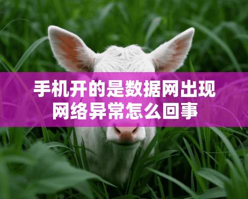 手机开的是数据网出现网络异常怎么回事