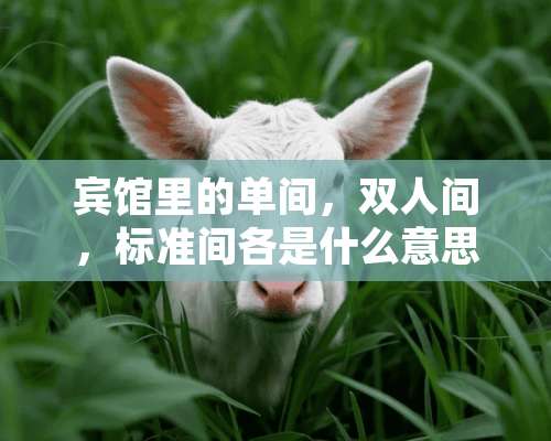 宾馆里的单间，双人间，标准间各是什么意思？