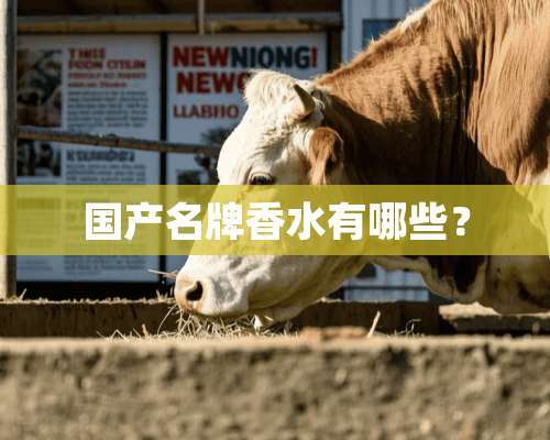 国产名牌香水有哪些？