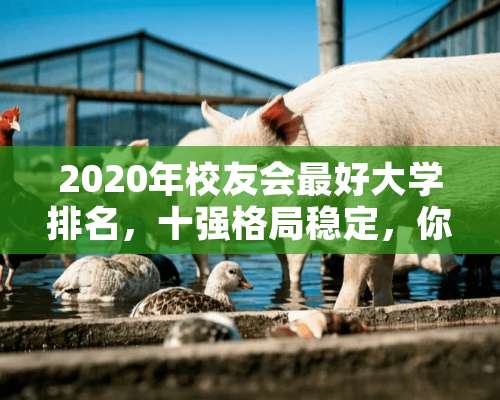 2020年校友会最好大学排名，十强格局稳定，你怎么看呢？