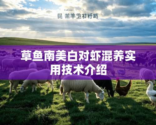 草鱼南美白对虾混养实用技术介绍