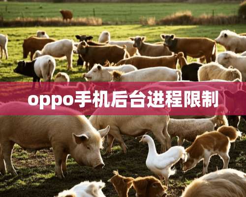 oppo手机后台进程限制