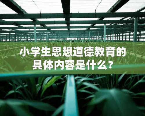 小学生思想道德教育的具体内容是什么？