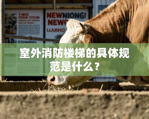 室外消防楼梯的具体规范是什么？