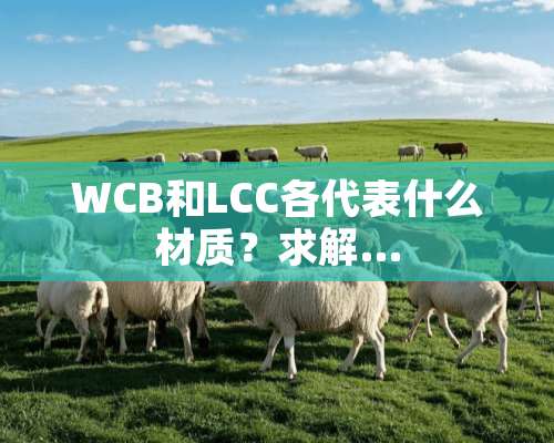 WCB和LCC各代表什么材质？求解…