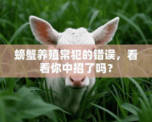 螃蟹养殖常犯的错误，看看你中招了吗？