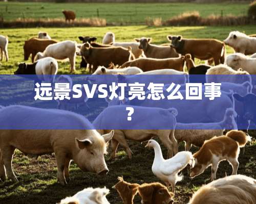 远景SVS灯亮怎么回事？