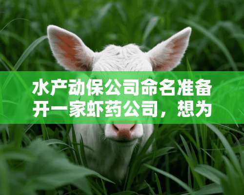 水产动保公司命名准备开一家虾药公司，想为公司起个名