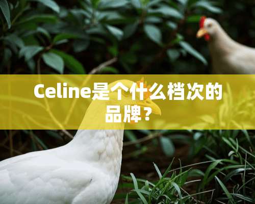 Celine是个什么档次的品牌？