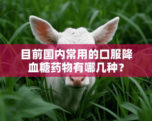 目前国内常用的口服降血糖药物有哪几种？