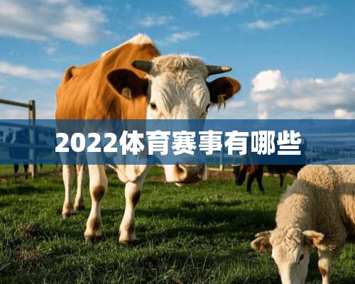 2022体育赛事有哪些