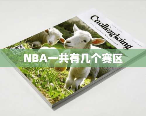 NBA一共有几个赛区