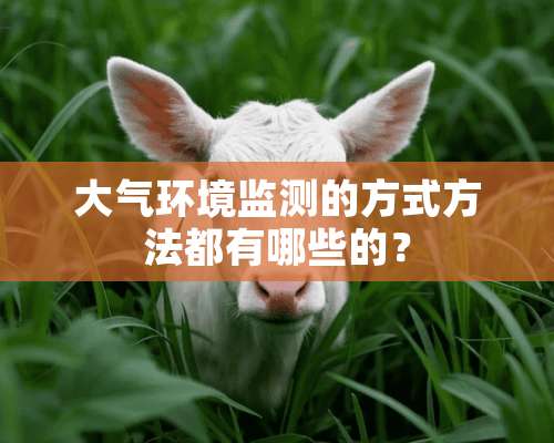 大气环境监测的方式方法都有哪些的？