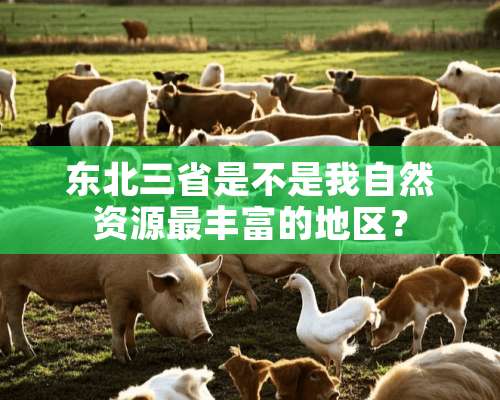 东北三省是不是我自然资源最丰富的地区？