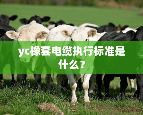 yc橡套电缆执行标准是什么？