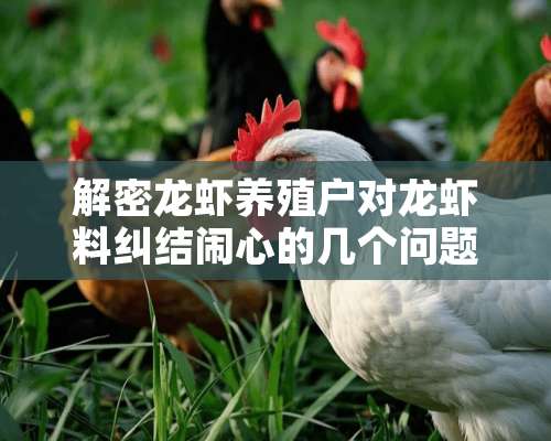 解密龙虾养殖户对龙虾料纠结闹心的几个问题