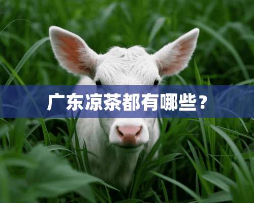 广东凉茶都有哪些？