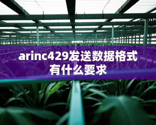 arinc429发送数据格式有什么要求