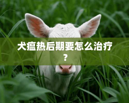 犬瘟热后期要怎么治疗？