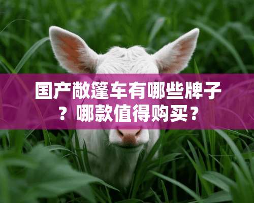 国产敞篷车有哪些牌子？哪款值得购买？