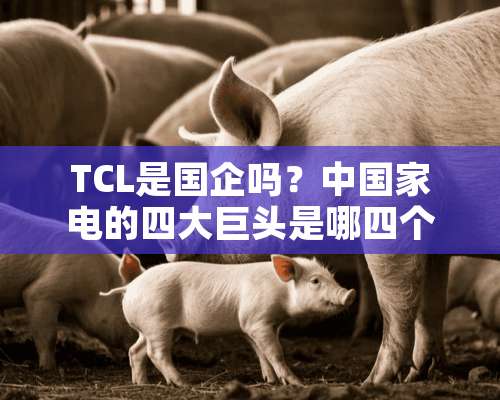 TCL是国企吗？中国家电的四大巨头是哪四个？