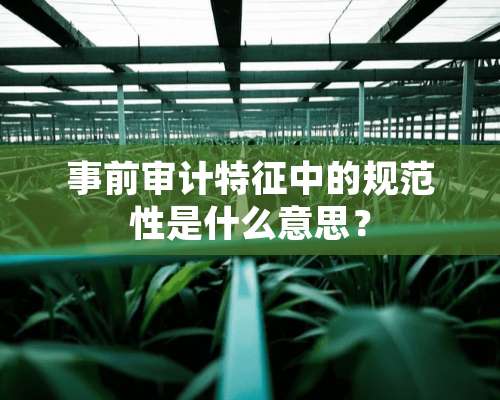 事前审计特征中的规范性是什么意思？