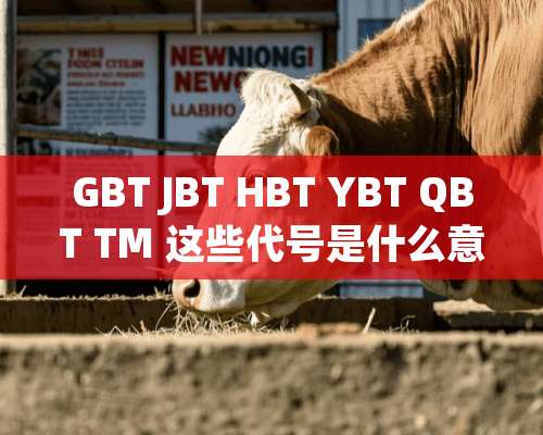 GBT JBT HBT YBT QBT TM 这些代号是什么意思？