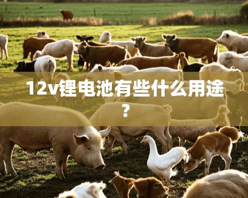 12v锂电池有些什么用途？