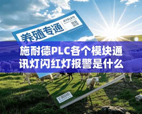 施耐德PLC各个模块通讯灯闪红灯报警是什么原因？