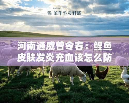 河南通威曾令春：鲤鱼皮肤发炎充血该怎么防治？