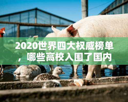 2020世界四大权威榜单，哪些高校入围了国内十强？