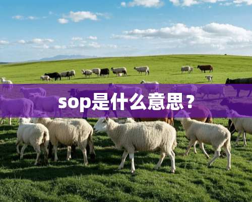 sop是什么意思？