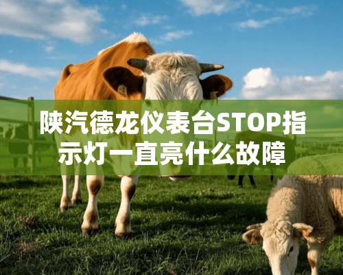 陕汽德龙仪表台STOP指示灯一直亮什么故障