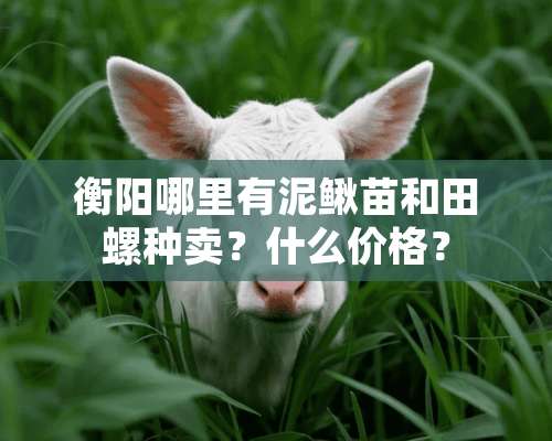 衡阳哪里有泥鳅苗和田螺种卖？什么价格？