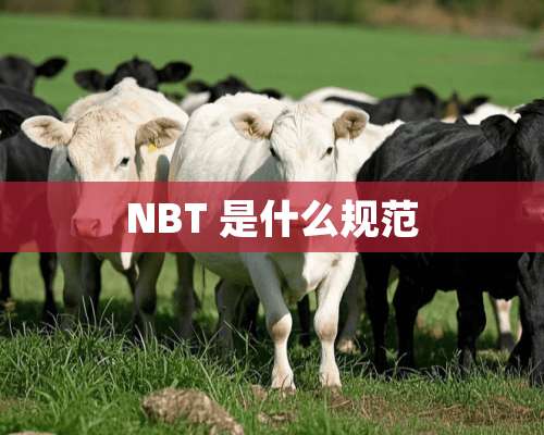 NBT 是什么规范