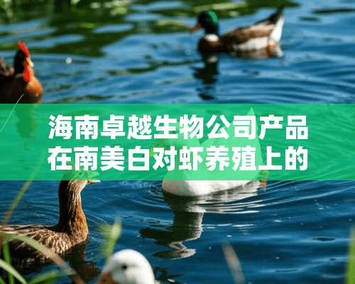 海南卓越生物公司产品在南美白对虾养殖上的应用