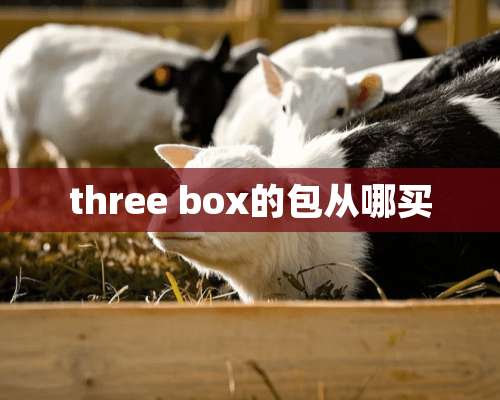 three box的包从哪买